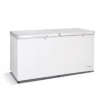 Royal BD 357 double door freezer